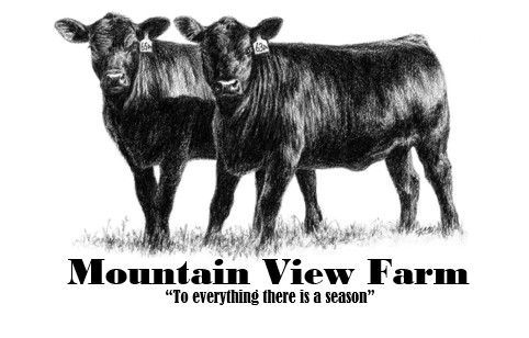Mountain View Farm Logo
